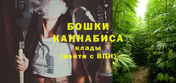 spice Покачи