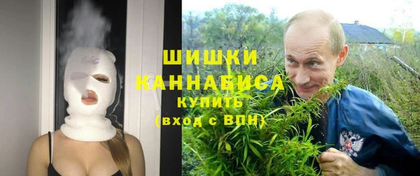 мдпв Покровск
